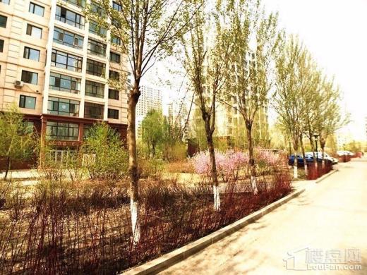 熙郡印象实景图